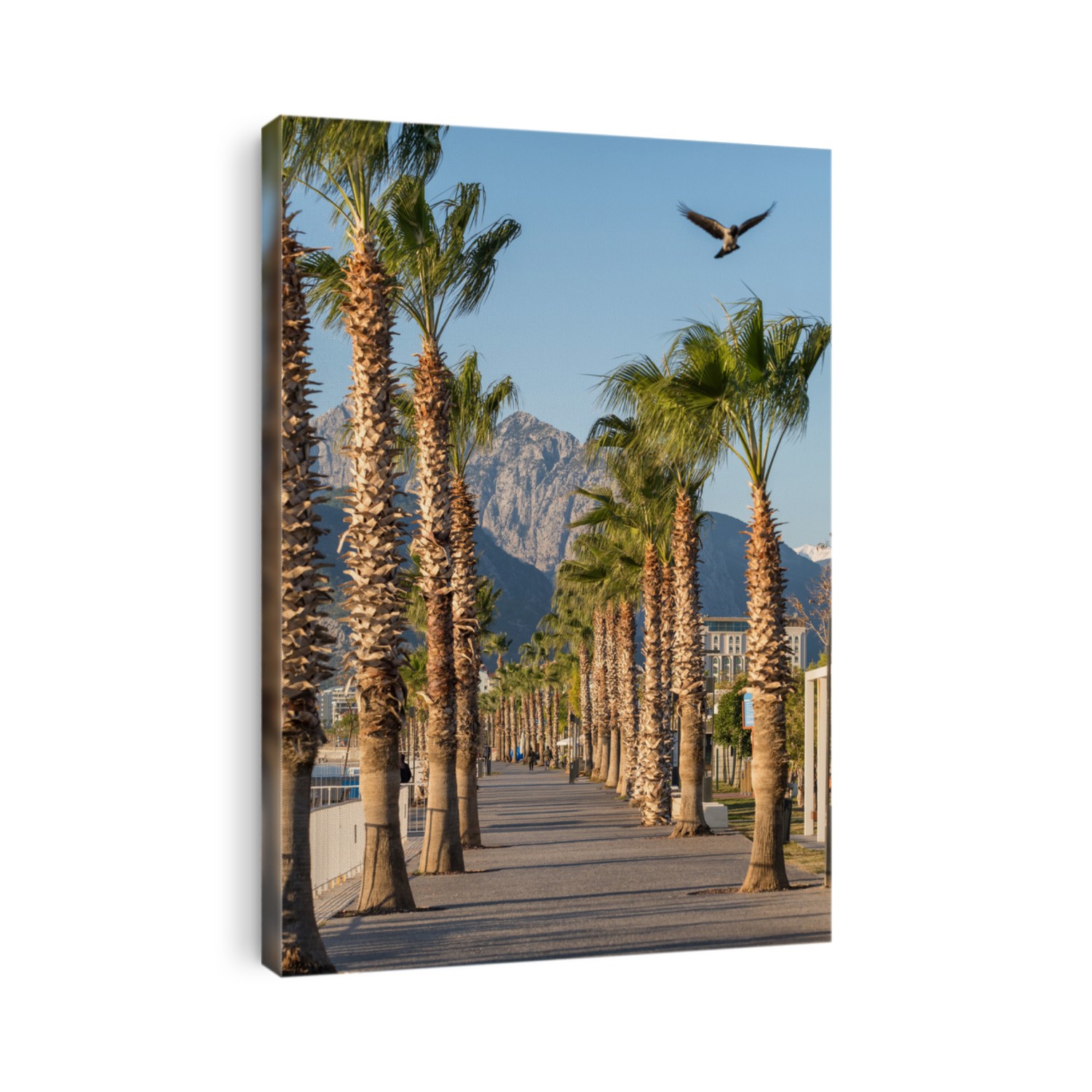 Antalya waterfront with palm trees and mountains at background in Turkey. Konyaalti beach promenade in the morning